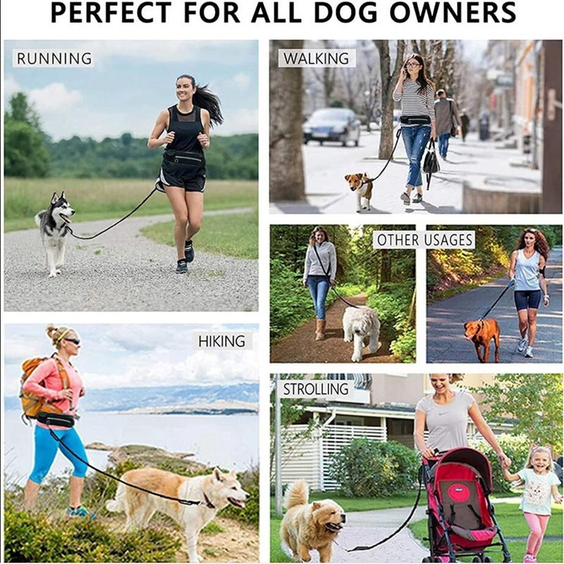 Hands-Free Dog Leash for Training, Walking & Comfort - Paw Storify