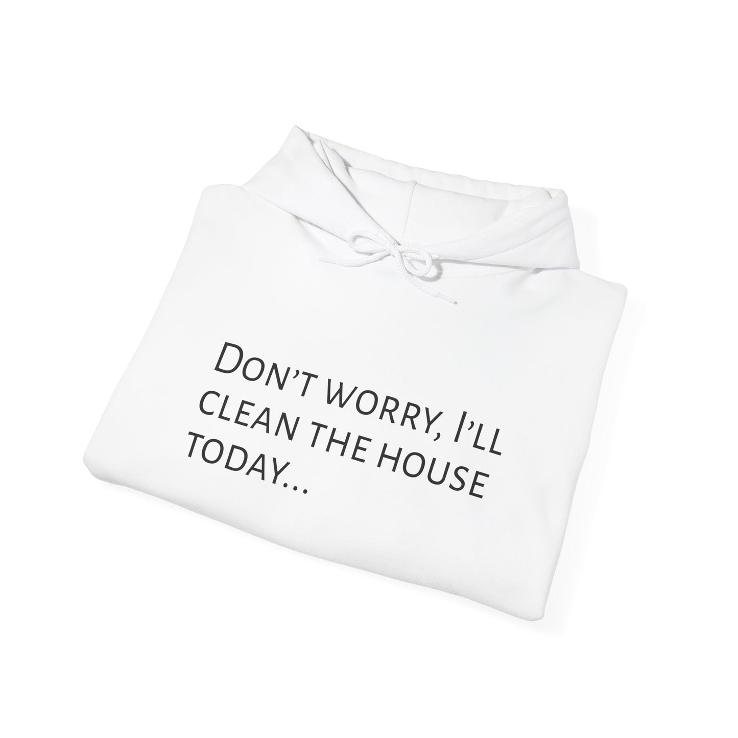 Cozy and Stylish Hoddie - Don’t worry, I’ll clean the house today