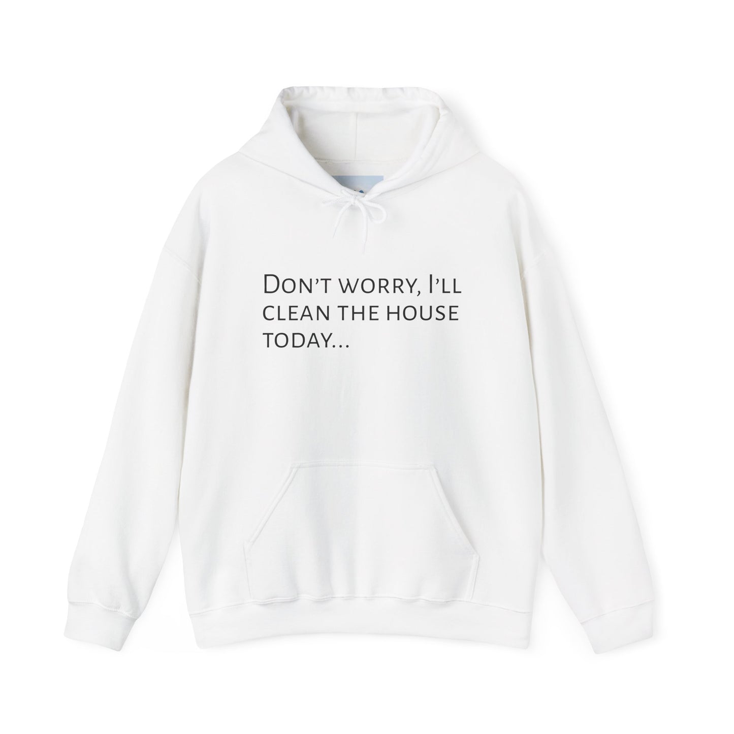 Cozy and Stylish Hoddie - Don’t worry, I’ll clean the house today