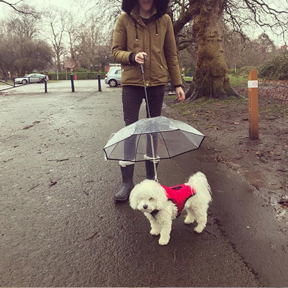 Transparent Dog Umbrella with Removable Traction Chain - Paw Storify