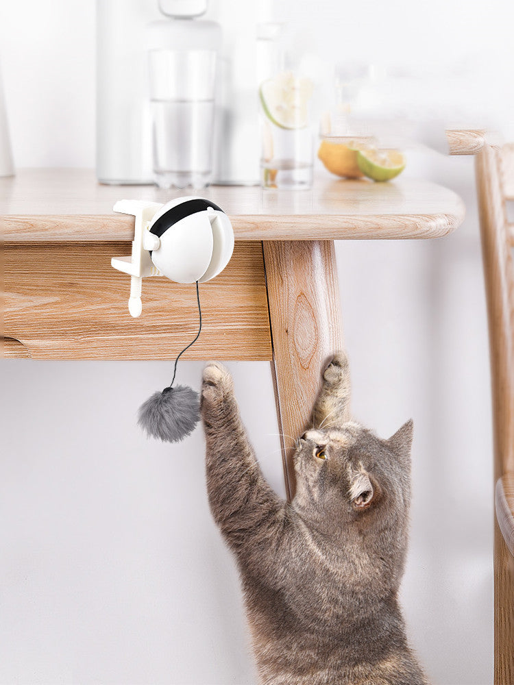 Interactive Electric Cat Toy – Smart Lifting Teaser Ball - Paw Storify