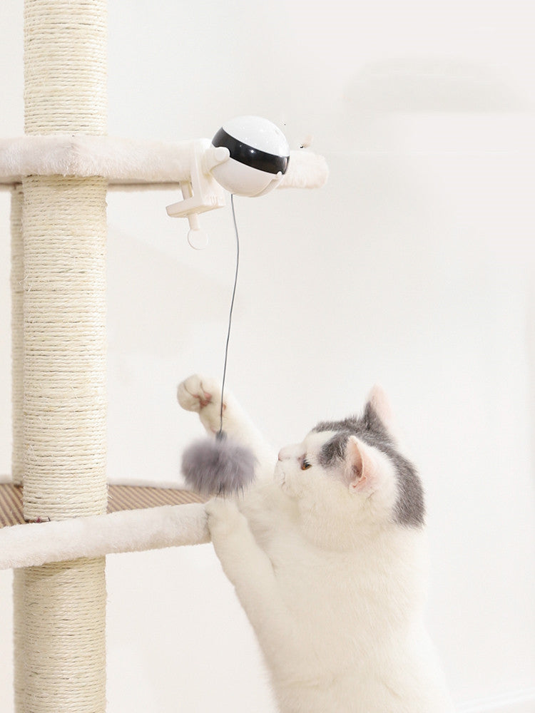 Interactive Electric Cat Toy – Smart Lifting Teaser Ball - Paw Storify