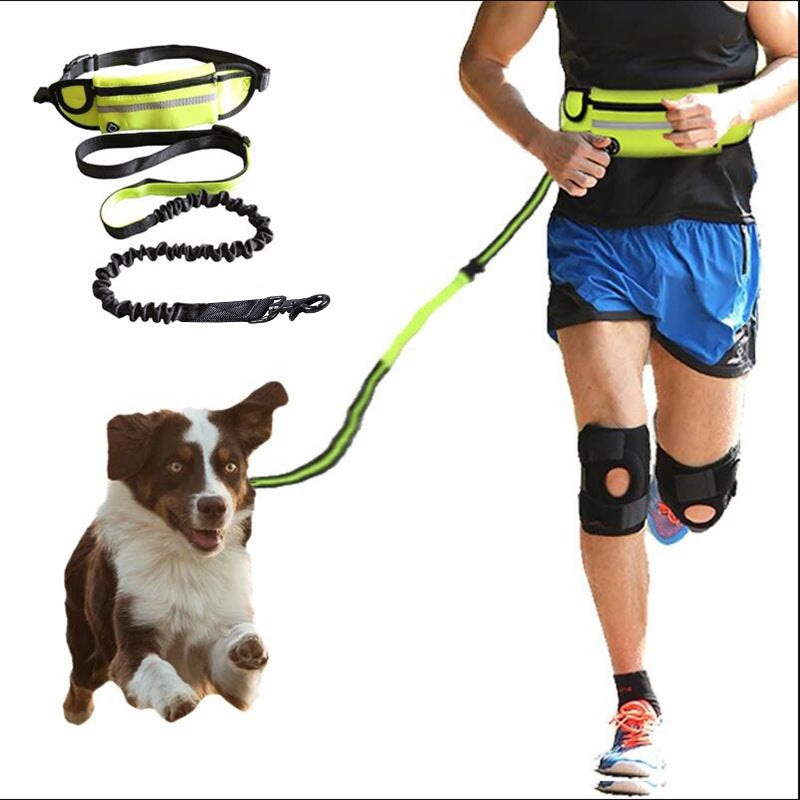 Hands-Free Dog Leash for Training, Walking & Comfort - Paw Storify