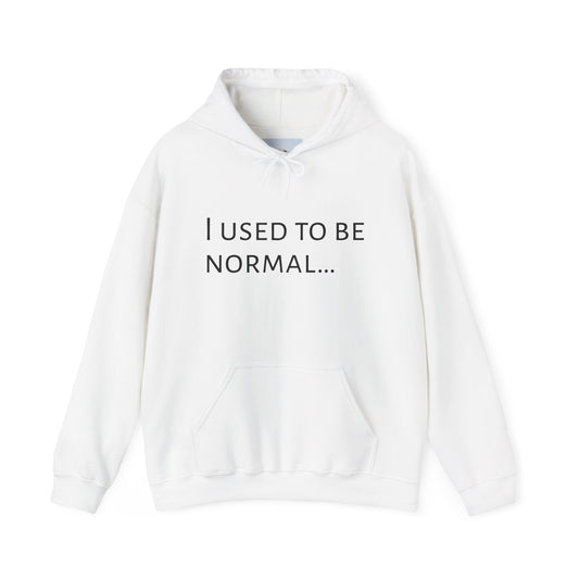 Cozy and Stylish Hoddie - I Used To Be Normal