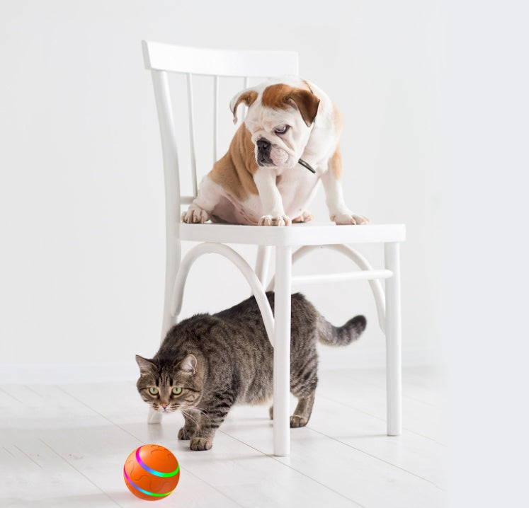 Smart USB Cat Ball Toy - Self-Rotating Interactive Play Ball - Paw Storify