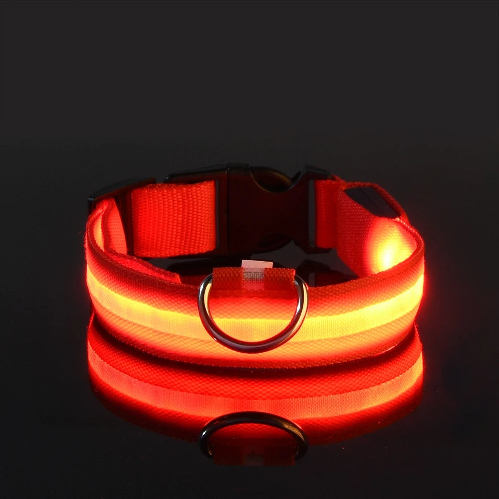 Glowing LED Dog Collar for Night Safety - Paw Storify