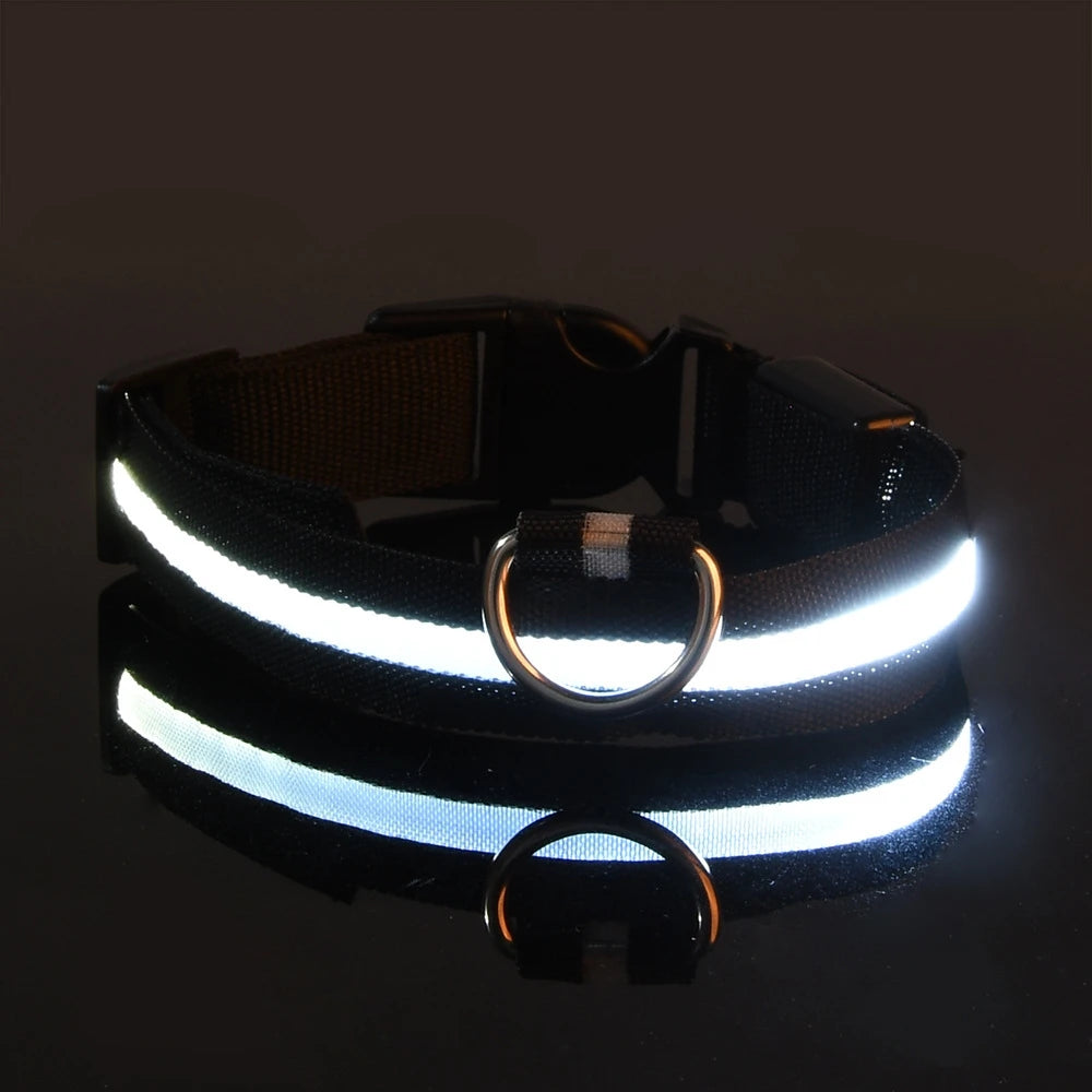 Glowing LED Dog Collar for Night Safety - Paw Storify