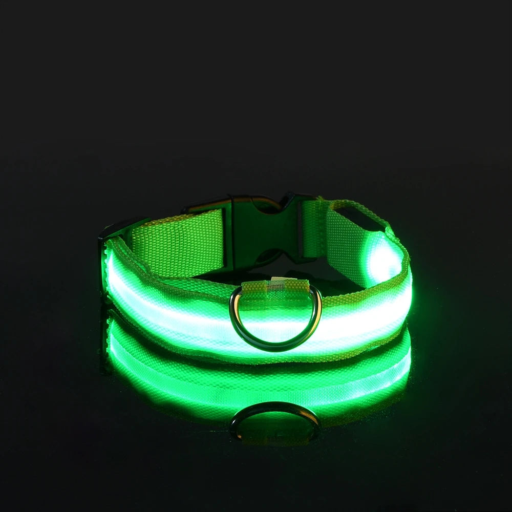 Glowing LED Dog Collar for Night Safety - Paw Storify