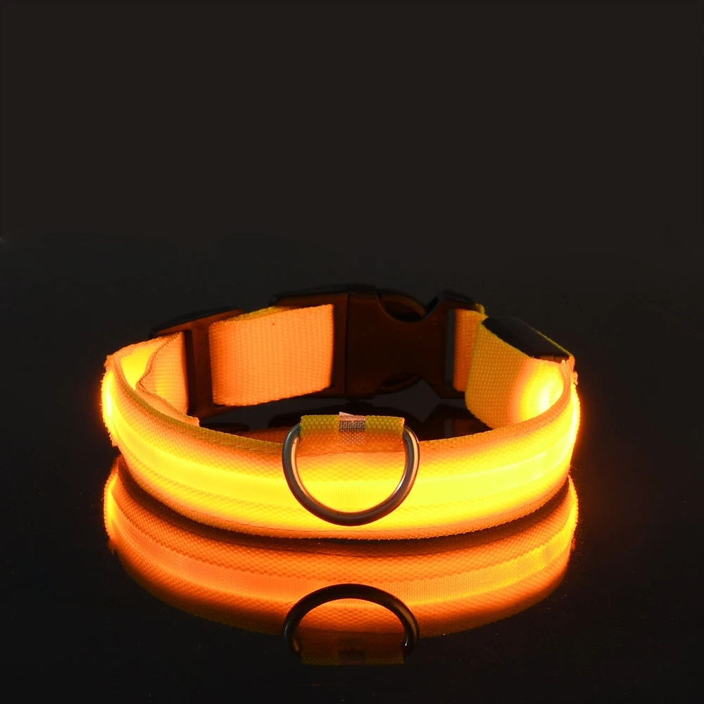 Glowing LED Dog Collar for Night Safety - Paw Storify