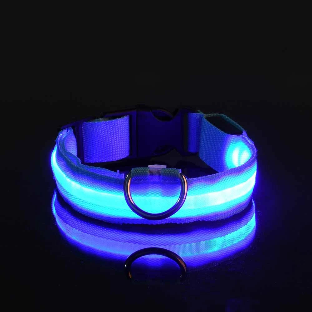 Glowing LED Dog Collar for Night Safety - Paw Storify