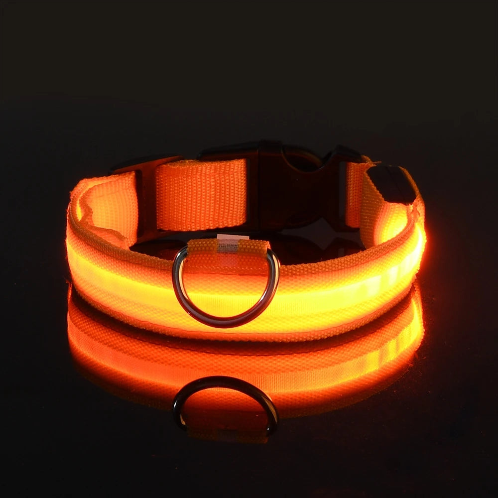 Glowing LED Dog Collar for Night Safety - Paw Storify