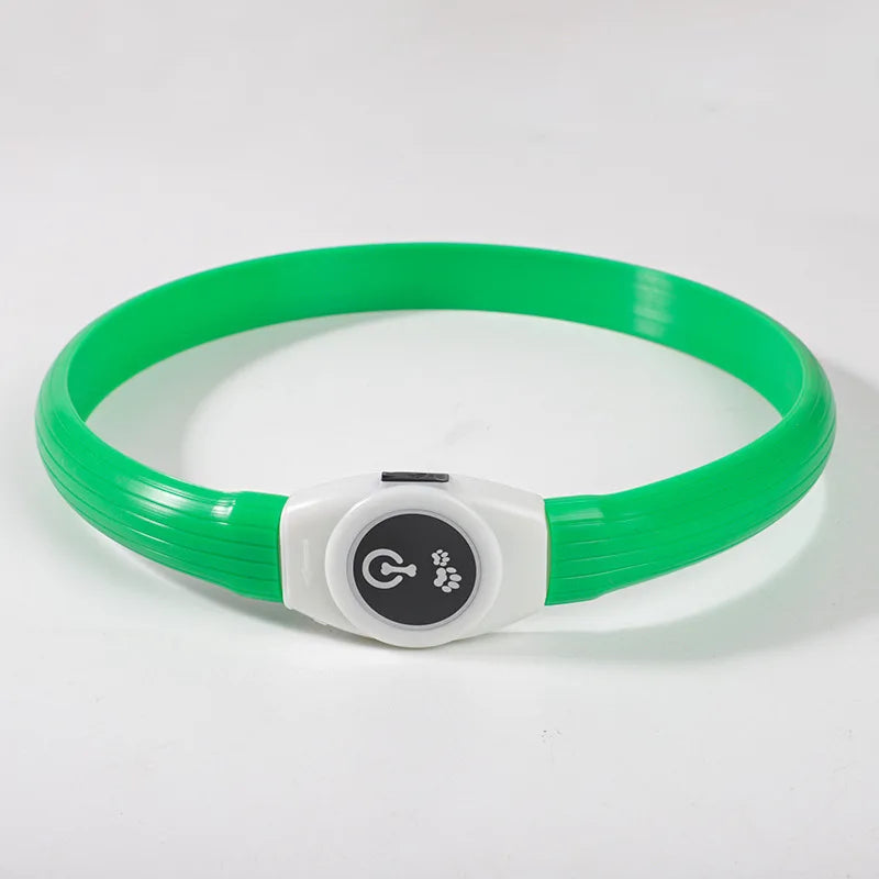 LED Luminous Dog Collar – USB Rechargeable, Waterproof & Safe - Paw Storify