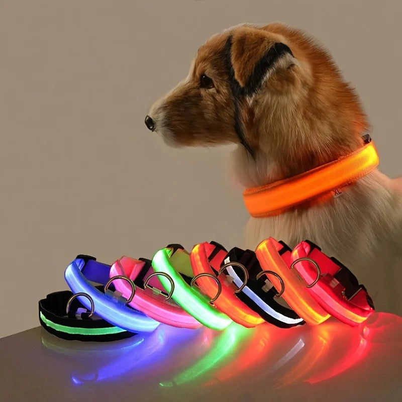 Glowing LED Dog Collar for Night Safety - Paw Storify