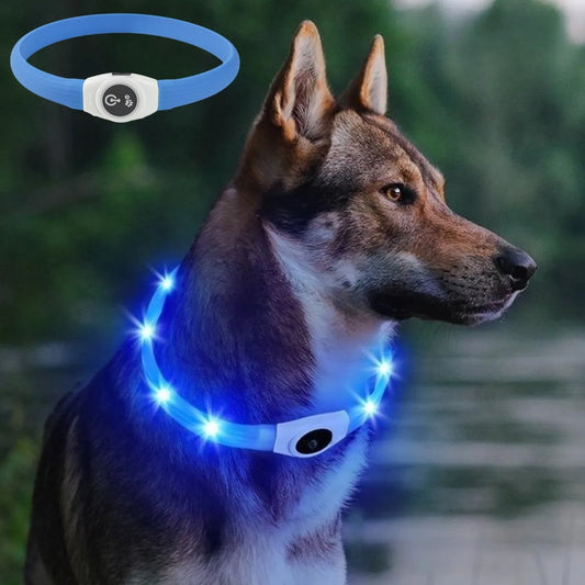 LED Luminous Dog Collar – USB Rechargeable, Waterproof & Safe - Paw Storify