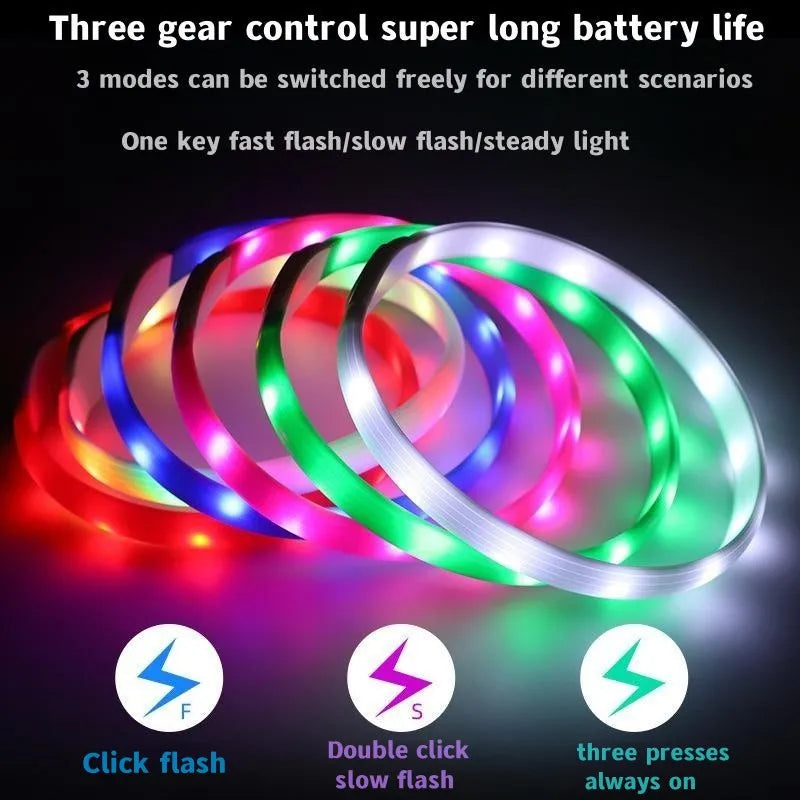 LED Luminous Dog Collar – USB Rechargeable, Waterproof & Safe - Paw Storify