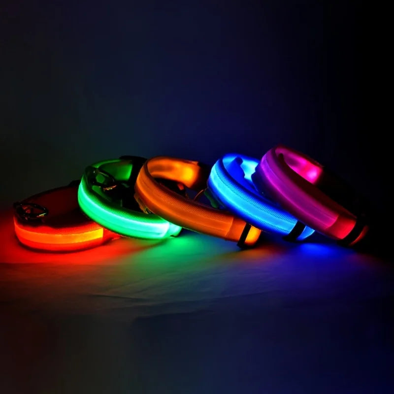 Glowing LED Dog Collar for Night Safety - Paw Storify