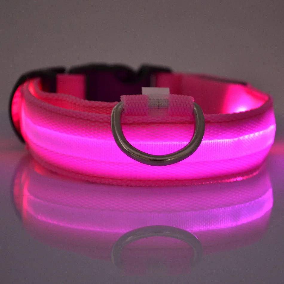 Glowing LED Dog Collar for Night Safety - Paw Storify