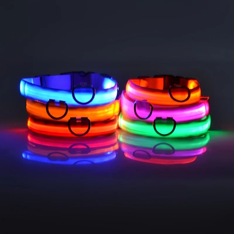 Glowing LED Dog Collar for Night Safety - Paw Storify