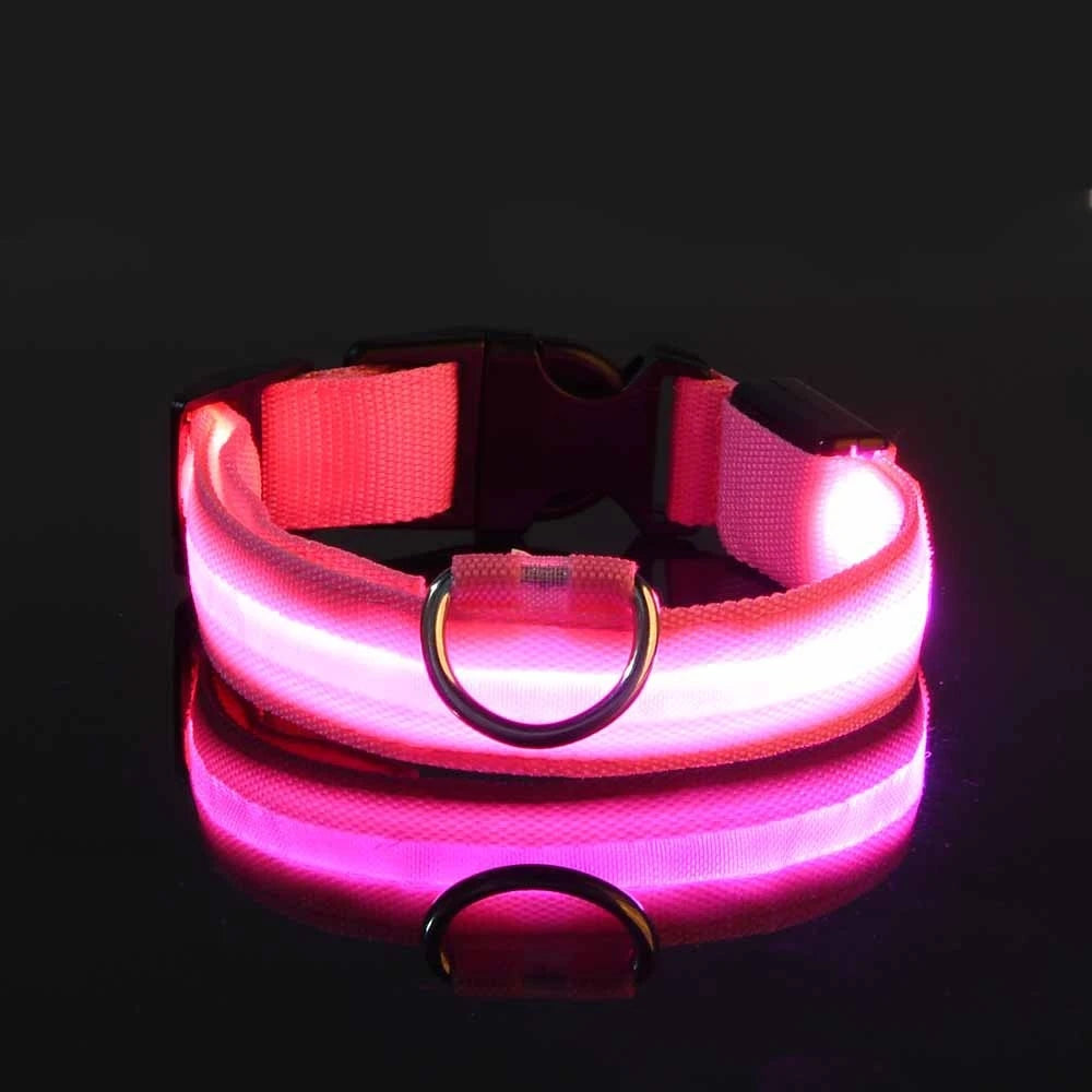 Glowing LED Dog Collar for Night Safety - Paw Storify