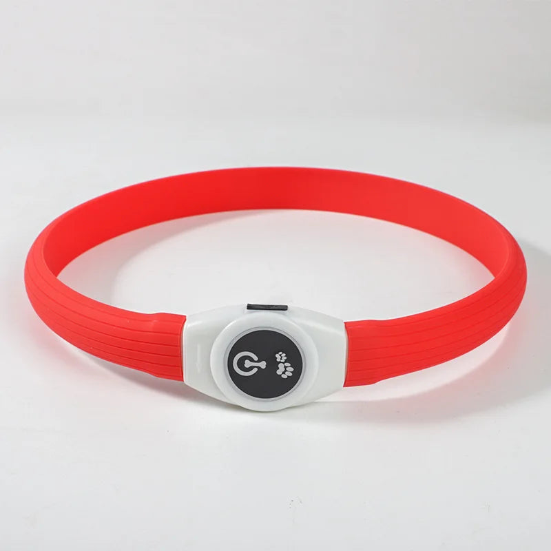 LED Luminous Dog Collar – USB Rechargeable, Waterproof & Safe - Paw Storify