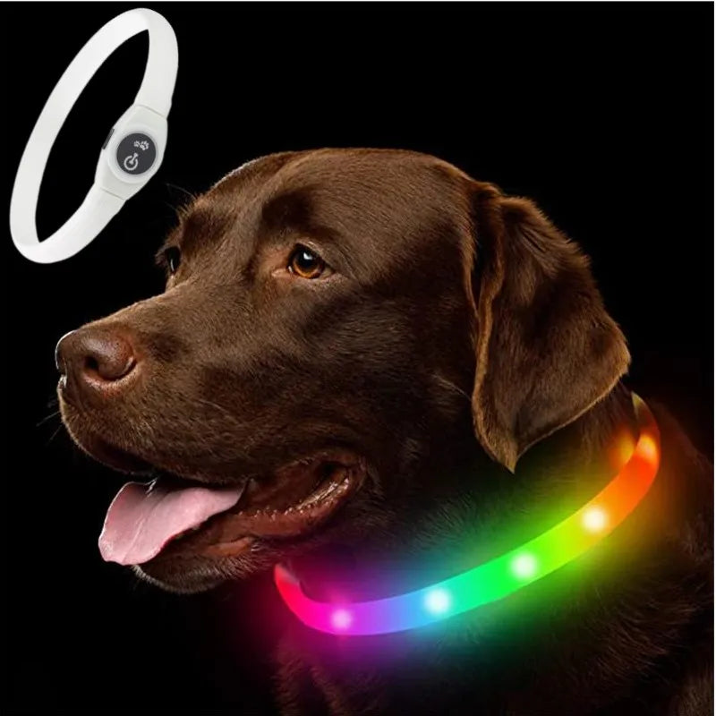 LED Luminous Dog Collar – USB Rechargeable, Waterproof & Safe - Paw Storify