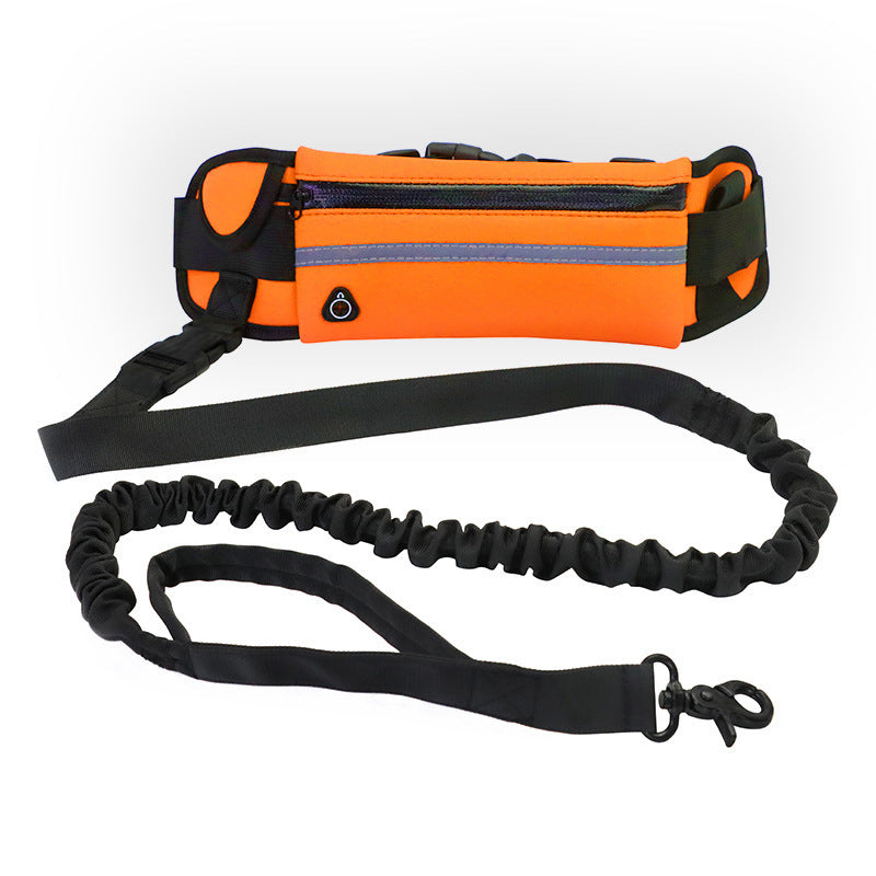 Hands-Free Dog Leash for Training, Walking & Comfort - Paw Storify