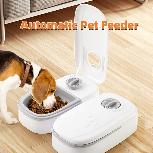 Smart Automatic Pet Feeder for Dogs & Cats – Timer Feeding - Paw Storify