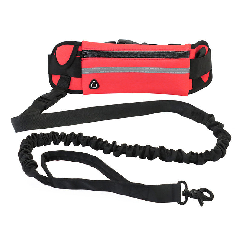 Hands-Free Dog Leash for Training, Walking & Comfort - Paw Storify