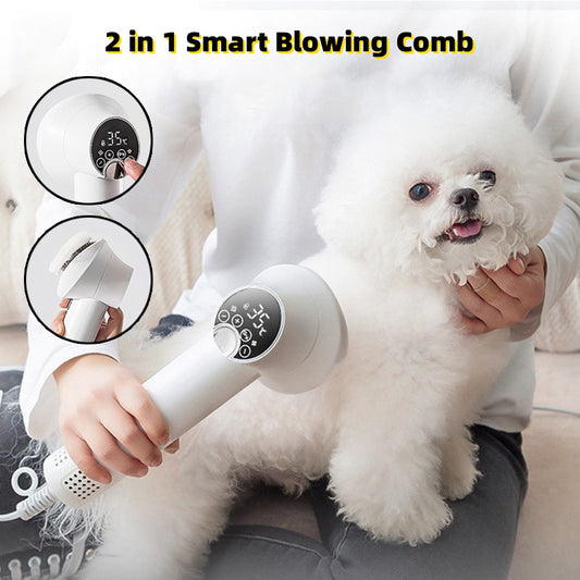 Silent Pet Hair Dryer & Comb – Grooming Made Easy! - Paw Storify